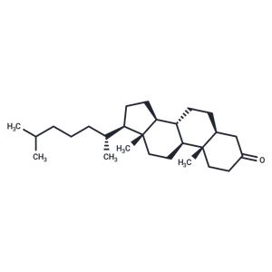 5α-Cholestan-3-one