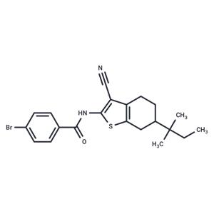 Glucagon Receptor Antagonist Inactive Control