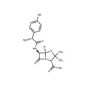 Amoxicillin