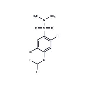 2,5-dichloro-4-(difluoromethoxy)-N,N-dimethylbenzene-1-sulfonamide