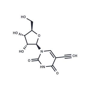 5-Ethynyluridine