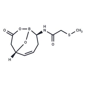 β-Lactamase-IN-8