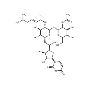 Tunicamycin