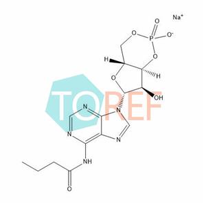 Bucladesine Impurity 2