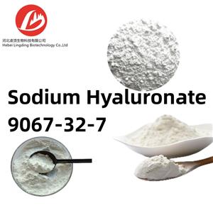 Sodium hyaluronate