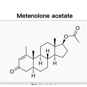 Methenolone Acetate;Primobolan Ace;MEA;primo)