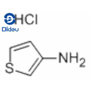 THIOPHEN-3-AMINE HYDROCHLORIDE