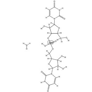 Uricase