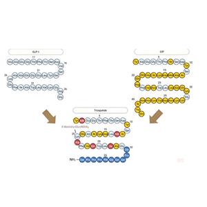 Semaglutide