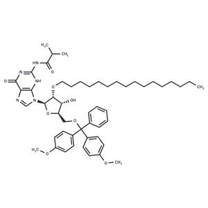 N2-iBu-5'-O-DMTr-2'-O-hexadecanyl guanosine