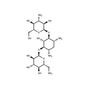 Kanamycin A