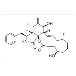 CYTOCHALASIN C