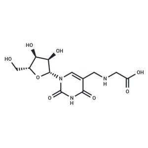 Uridine-5-methylamino acetic acid