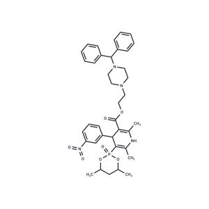 NIP-101