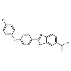 BML277 Acid