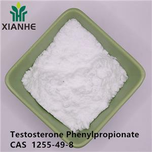 Testosterone Phenylpropionate