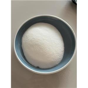 METHYL TETRAISOPROPYLPHOSPHORODIAMIDITE
