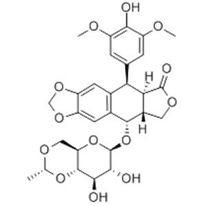 Etoposide