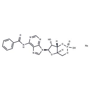 6-Bnz-cAMP sodium salt
