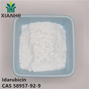 Idarubicin