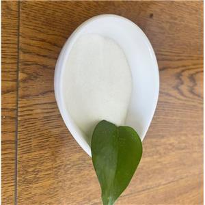 [3-(Dimethylamino)propyl]triphenylphosphonium bromide hydrobromide