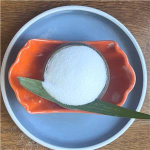Donepezil Hydrochloride