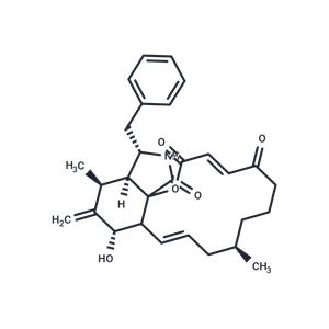 Cytochalasin A