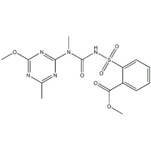 Tribenuron methyl