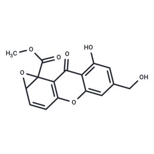 MS 347a