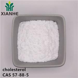 cholesterol