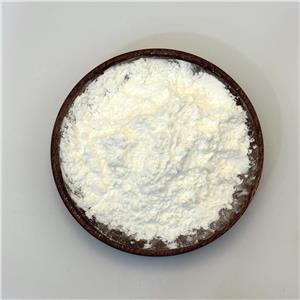 Dimethocaine Hydrochloride