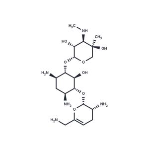 Sisomicin