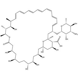 Amphotericin B