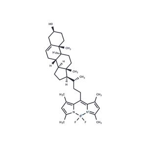 BODIPY-Cholesterol