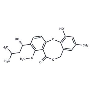 Penicillide