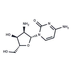 2'-Amino-2'-deoxycytidine