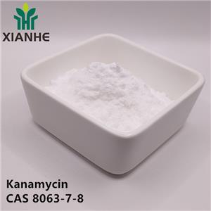 Kanamycin