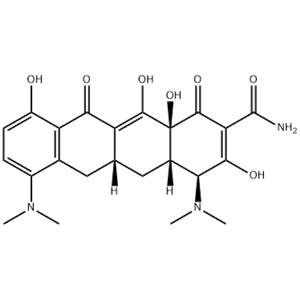 Minocycline