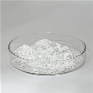 Pyrrolidinyl Diaminopyrimidine Oxide