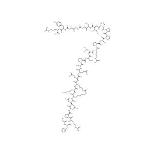 FX-06