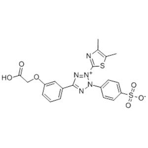 METHYL CELLULOSE