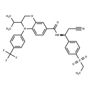 RORγt agonist 2