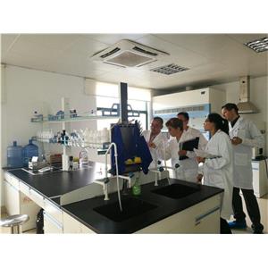 Decarboxy Carnosine HCl