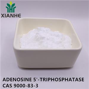 ADENOSINE 5'-TRIPHOSPHATASE