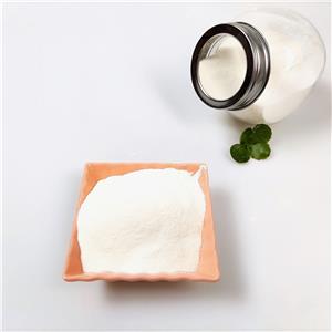 7 keto DHEA
