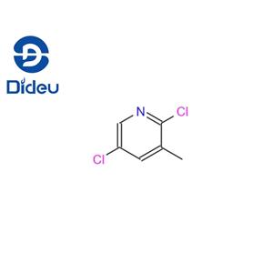 2,5-DICHLORO-3-PICOLINE