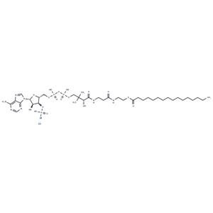 Palmitoyl CoA lithium