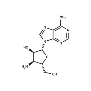 3'-Amino-3'-deoxyadenosine