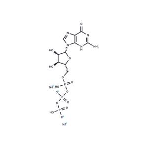 Guanosine-5'-triphosphate disodium salt