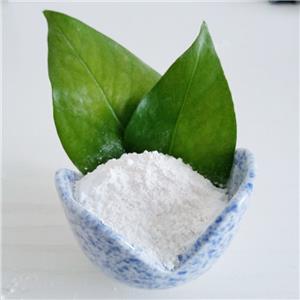 MT1 BET inhibitor